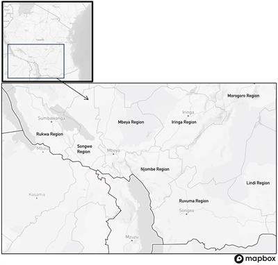 Agroecological approaches to securing rural livelihoods: a critical analysis using the example of Tanzania